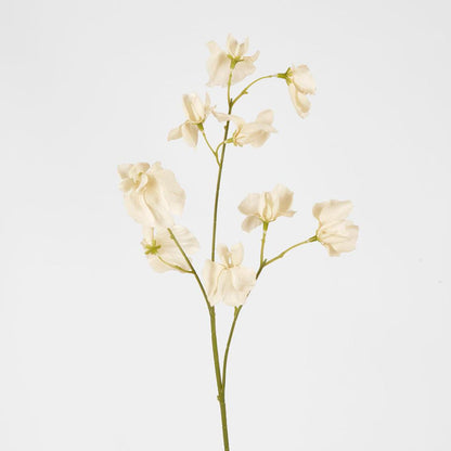 Jane Sweet Pea 60cm Off White 6 pcs
