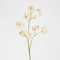 Jane Sweet Pea 60cm Off White 6 pcs