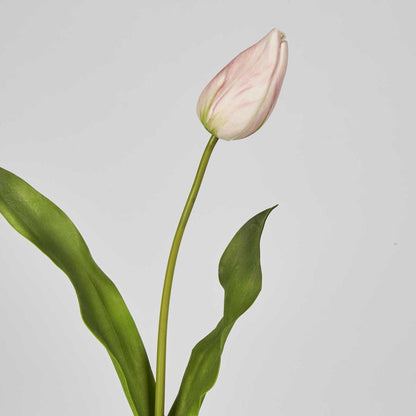 Soft Touch Tulip Stem Light Pink