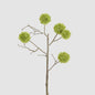 Thistle Globe Spray 80cm Green