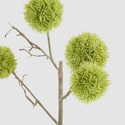 Thistle Globe Spray 80cm Green