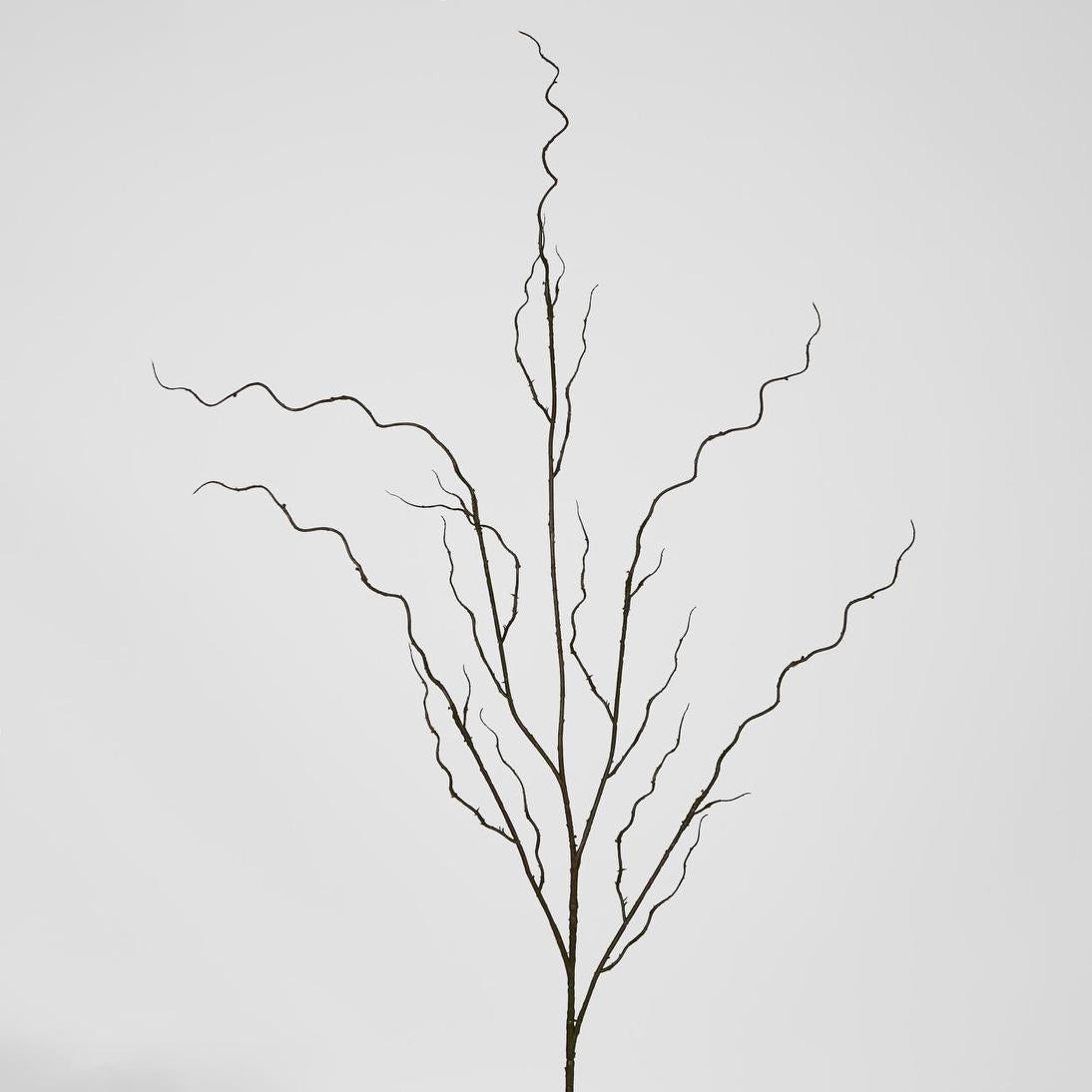 Curly Twig 12 pcs