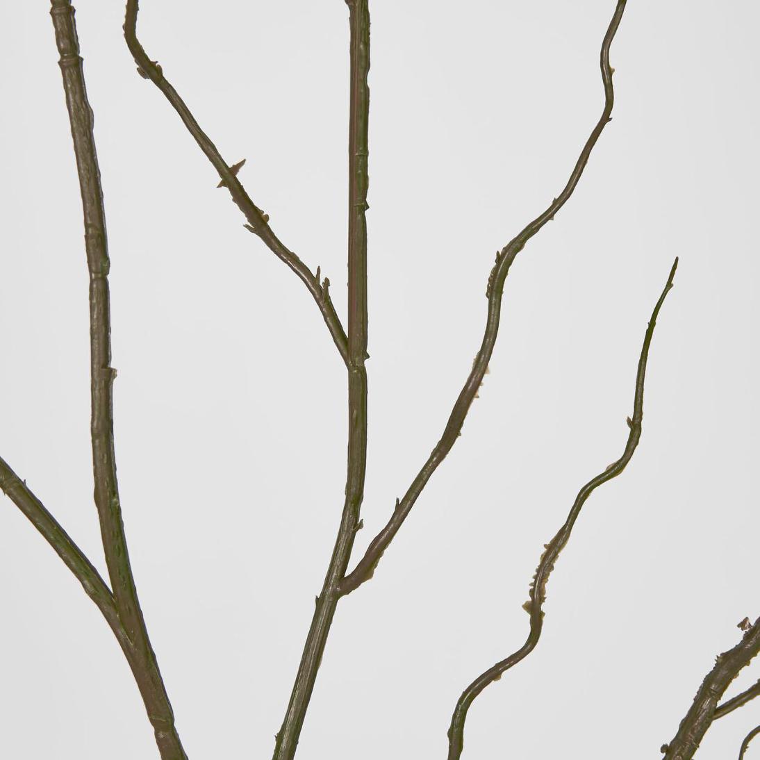 Curly Twig 12 pcs