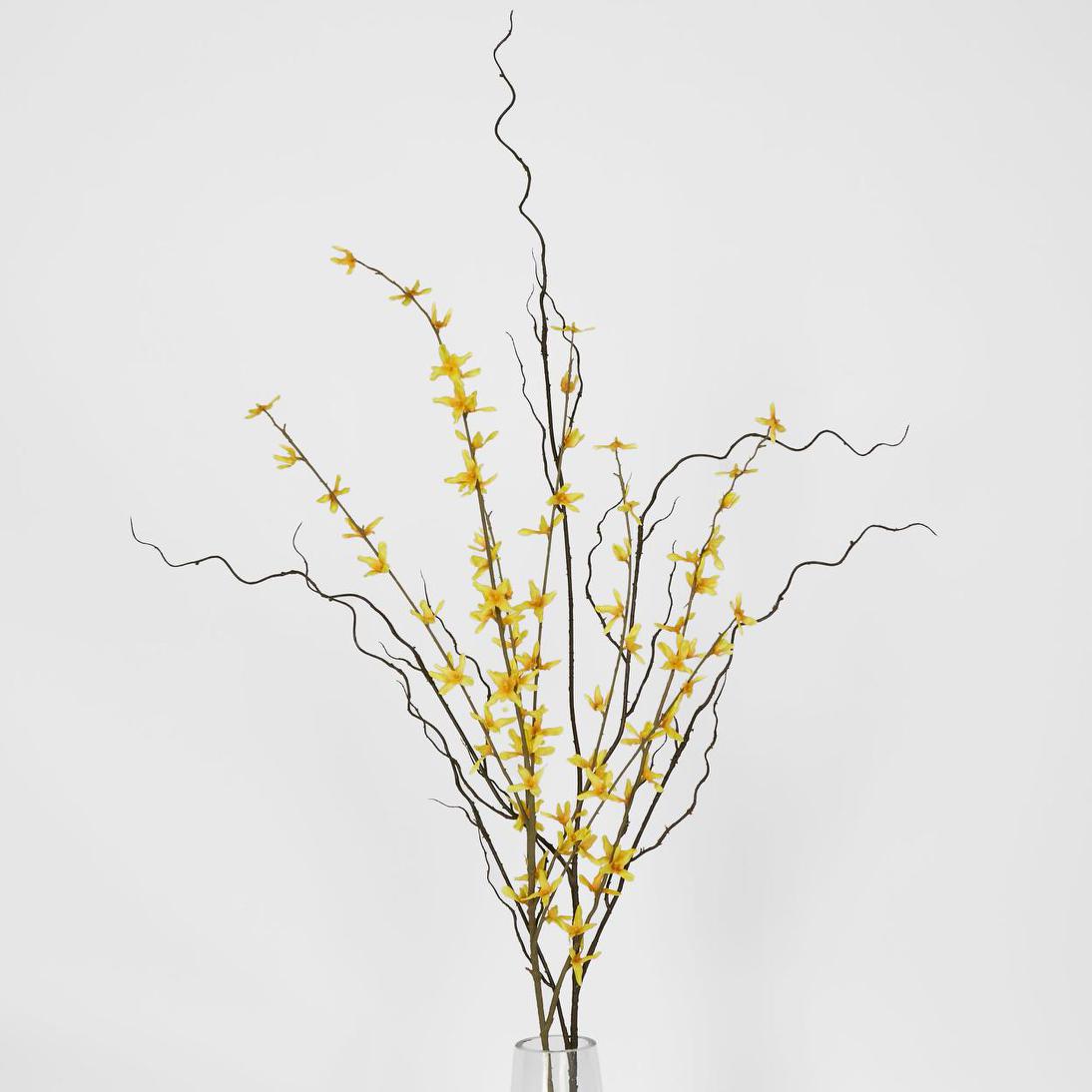 Curly Twig 12 pcs