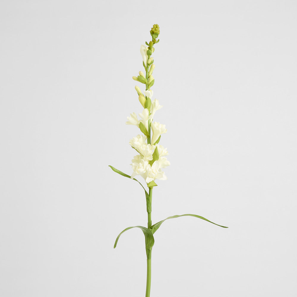 Tuberose Spray 80cm Cream