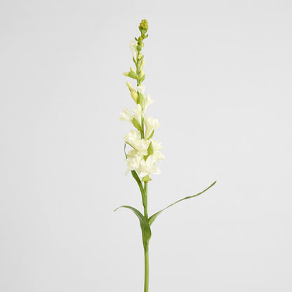 Tuberose Spray 80cm Cream