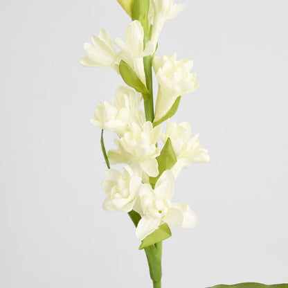 Tuberose Spray 80cm Cream