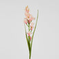 Tuberose Stem Pink 76cm