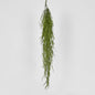 Hanging Grass Vine