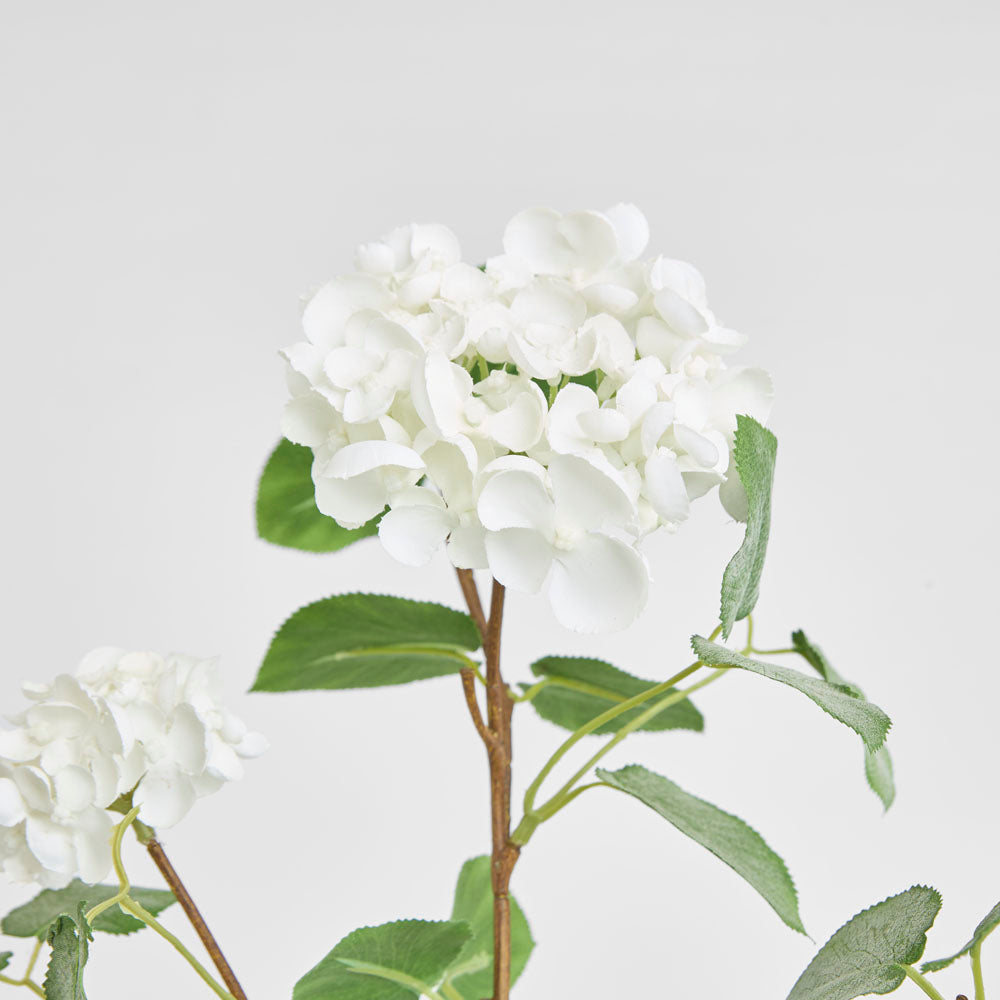 Viburnum Spray 84cm White 6 pcs