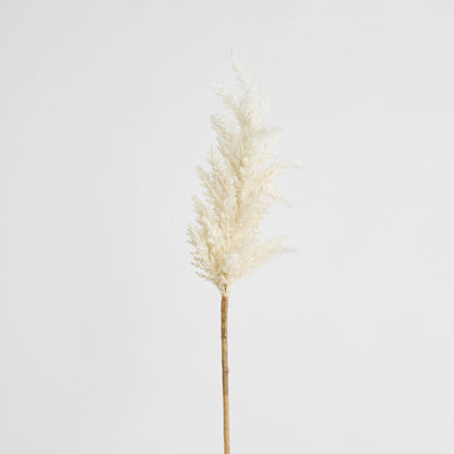 Wheat Astilbe Flower Stem 75cm White 6 pcs