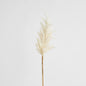 Wheat Astilbe Flower Stem 75cm White 6 pcs