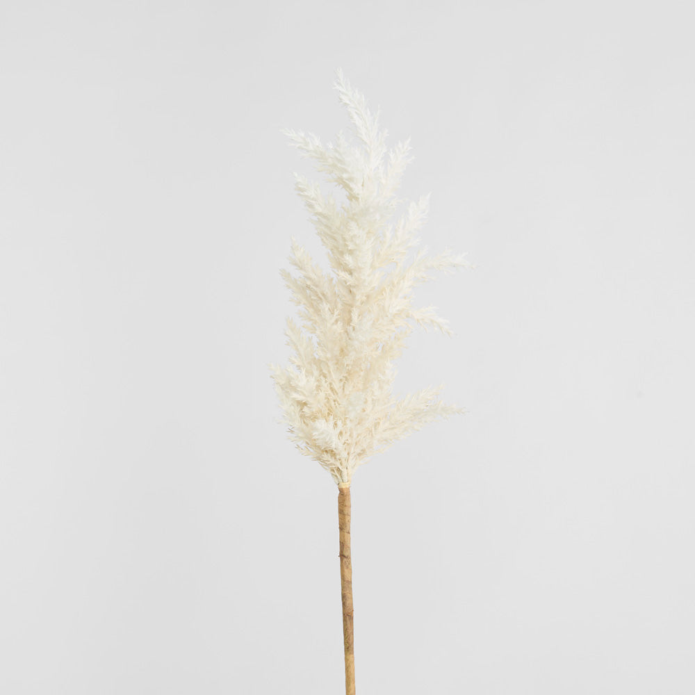 Wheat Astilbe Flower Stem 75cm White 6 pcs