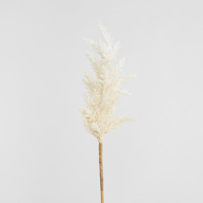 Wheat Astilbe Flower Stem 75cm White 6 pcs