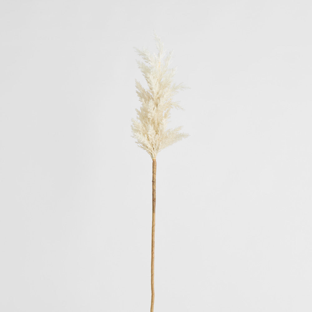 Wheat Astilbe Flower Stem 75cm White 6 pcs