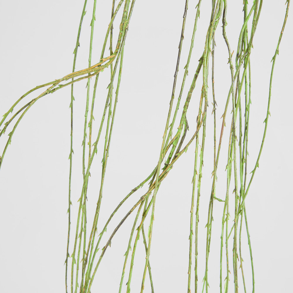 Willow Vine Spray 1.6m Green 6 pcs