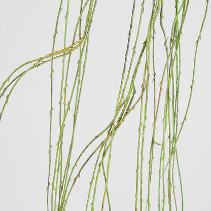 Willow Vine Spray 1.6m Green 6 pcs