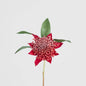 Waratah Stem 50cm Red