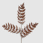 Dried Fern Leaf Stem Natural 6 pcs
