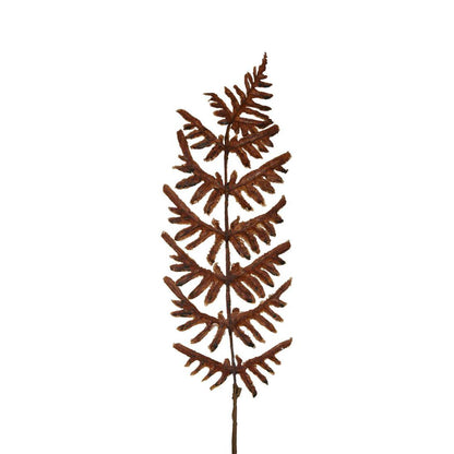 Dried Fern Leaf Stem Natural 6 pcs