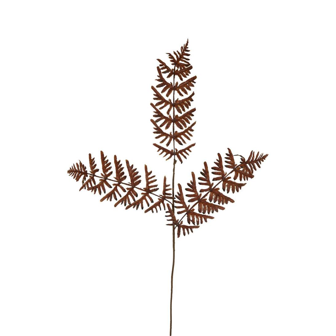 Dried Fern Leaf Stem Natural 6 pcs