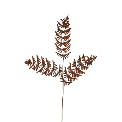 Dried Fern Leaf Stem Natural 6 pcs