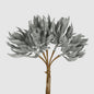 Geer Spike Stem Silver 6 pcs