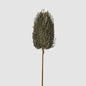 Banksia Glitter Stem Olive Green 6 pcs