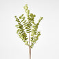 Eucalyptus Stem Light Green 6 pcs