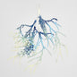 Coral Hanging Spray Blue 12 pcs
